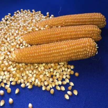 Estilla / Естілла