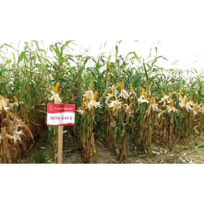 ZETA 140S / ЗЕТА 140С