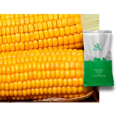 ZPSC 366 / ЗПСК 366