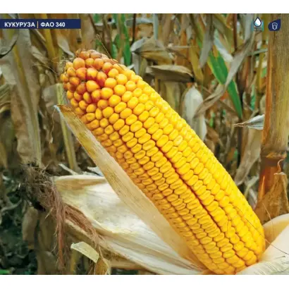 ZPSC 388 / ЗПСК 388