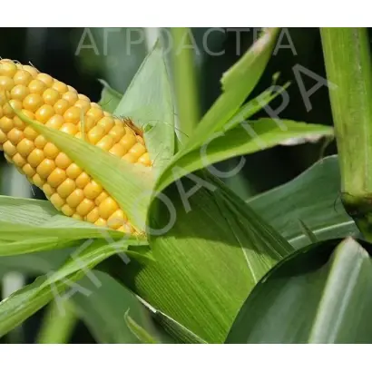 SU 345BY / ЗУ 345БЮ