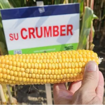 SU Crumber / ЗУ Крамбер