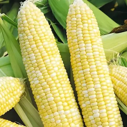 Інгульський