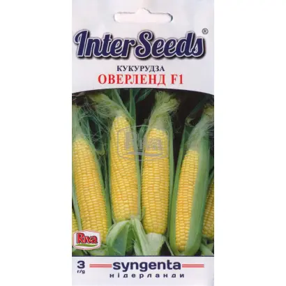 INTERACTIS / ІНТЕРАКТІС