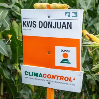 KWS DONJUAN / КВС ДОНЖУАН