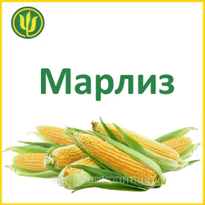 Марліз