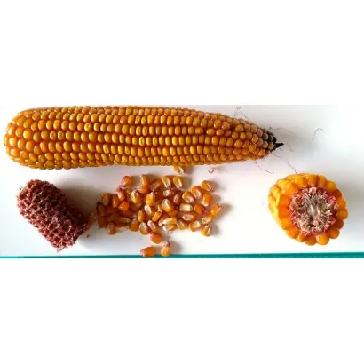 MAS 14G / МАС 14Г