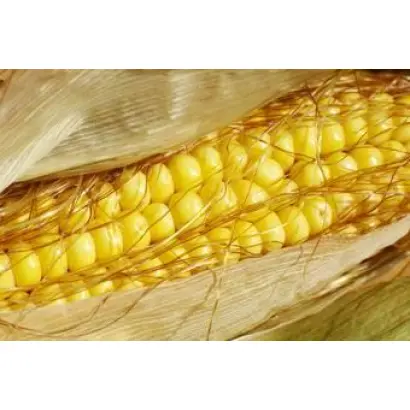 MAS 335I / МАС 335І