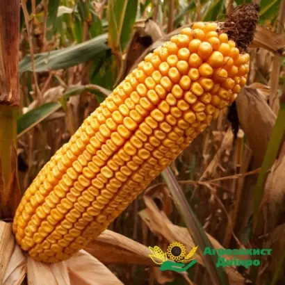 MAS 48L / МАС 48Л