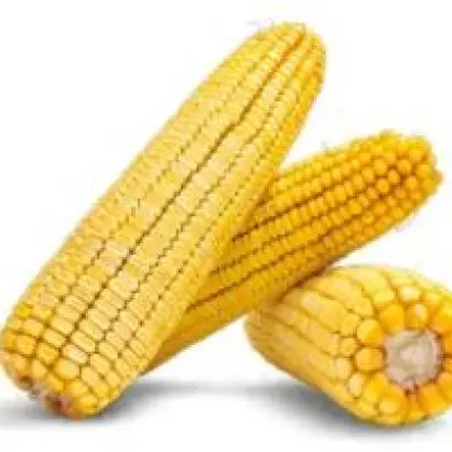 Меридіан 341 МВ