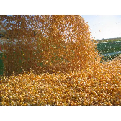 Movanna / Мованна