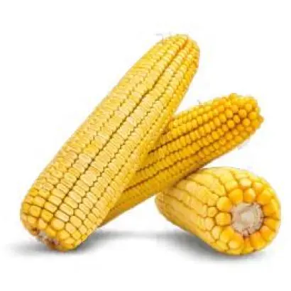 Моніка 350 МВ