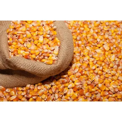 Надднепрянская 50 / Наддніпрянська 50