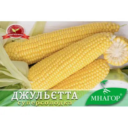 NARGILO / НАРДЖІЛО