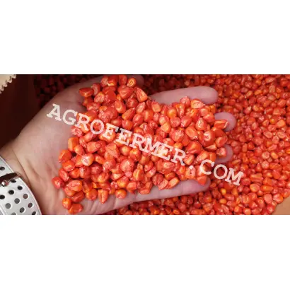 NATAELO / НАТАЕЛО