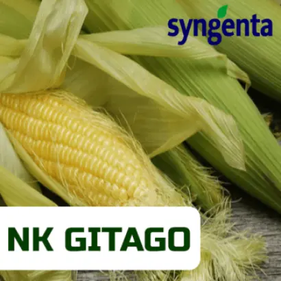 NK Gitago / НК Джитаго