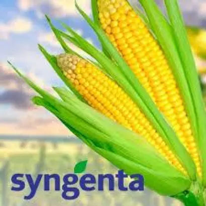 NK Pako / НК Пако