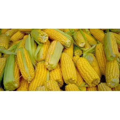 Opanat / Опанат