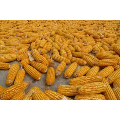 Perrero / Перреро