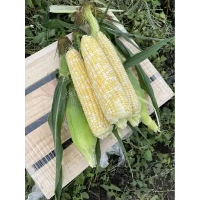 Privat / Приват