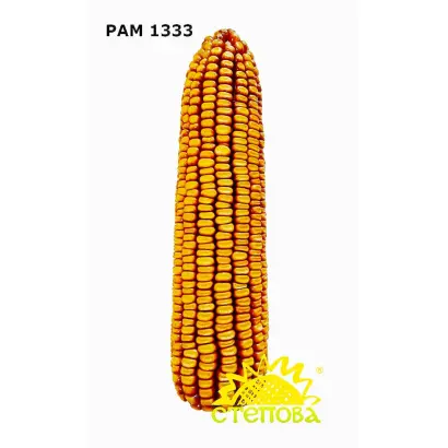 РАМ 1333