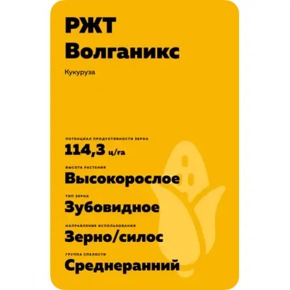 RGT VOLGANIXX / РЖТ ВОЛГАНІККС