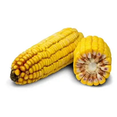 RGT DUBLIXX / РЖТ ДУБЛІККС