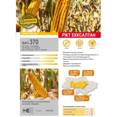 RGT EXXALTAN / РЖТ ЕККСАЛТАН