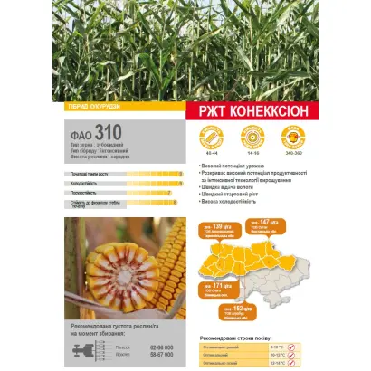 RGT CONEXXION / РЖТ КОНЕККСІОН