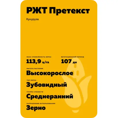 RGT PRETEXXTE / РЖТ ПРЕТЕККСТ