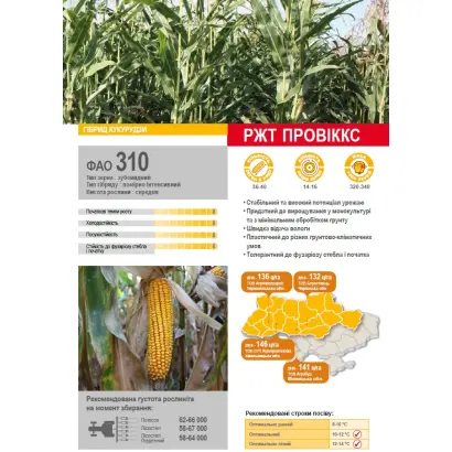 RGT PROVEXX / РЖТ ПРОВІККС