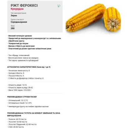 RGT FEROXXY / РЖТ ФЕРОККСІ