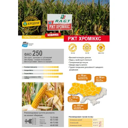 RGT CHROMIXX / РЖТ ХРОМІККС