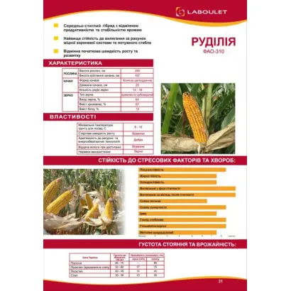 RUDILIA / РУДІЛІЯ