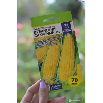 SY ALDARIA / СИ АЛЬДАРІА