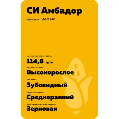 SY AMBADOR / СИ АМБАДОР