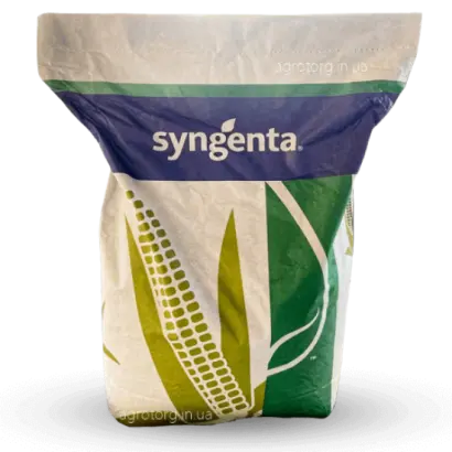 SY AMFORA / СИ АМФОРА