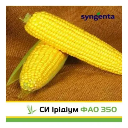 SY Iridium / СИ Ірідіум