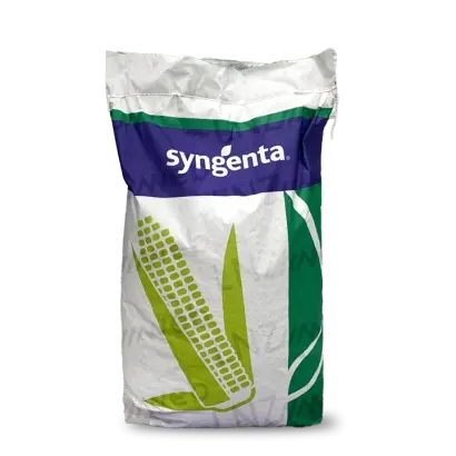 SY CARIOCA / СИ КАРІОКА