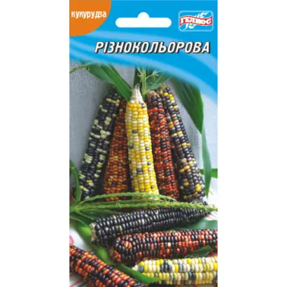 SY Salvi / СИ Селві