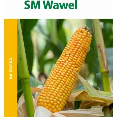 SM Wawel / СМ Вавел