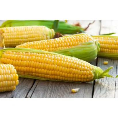 Solitaro / Солітаро