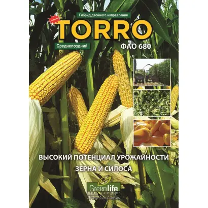 Terrio / Терріо