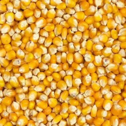 Tiguan / Тігуан