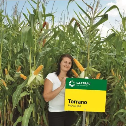 Torrano / Торрано