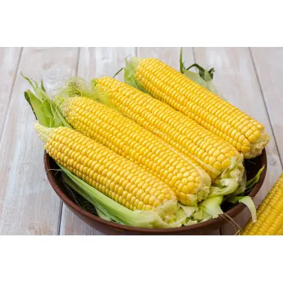 Farmactos / Фармактос