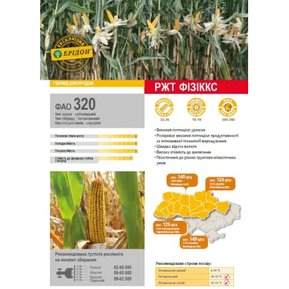 Fisixx / Фізікс