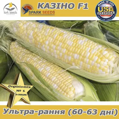 Cyrano / Цірано