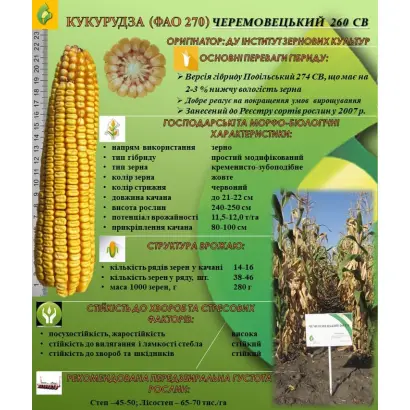 Чемеровецький 260 СВ