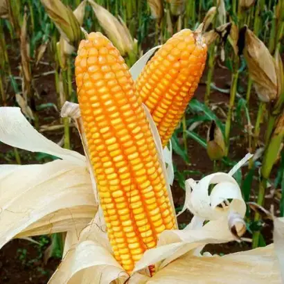 Черкаський 227 МВ